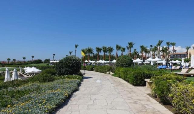 Sunset Seaview Studio Apartment Paphos ภายนอก รูปภาพ